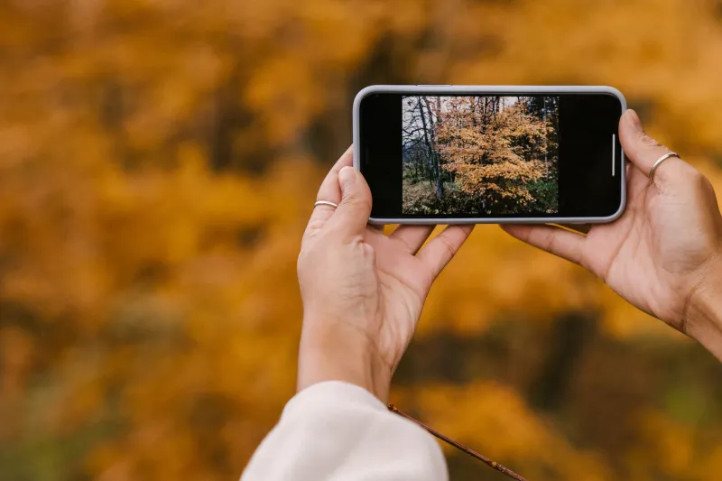 Science Is Not Spectator Sport: 10 Citizen Science Projects Where Your Data Actually Matters