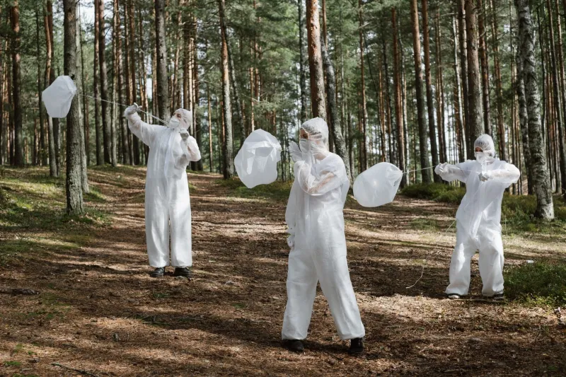 The Invisible Frontier: Why Groundbreaking Science Happening in Your Own State Rarely Makes National Headlines